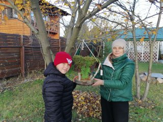  Синичкин день сотрудники Управления по ЦАО повесили кормушки